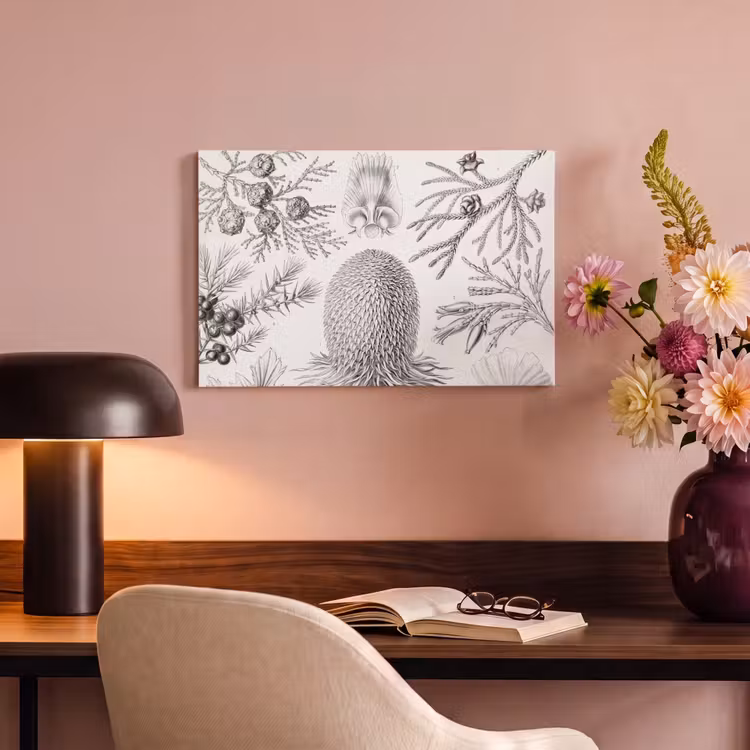 Coniferen - Ernst Haeckel - Kunst - Retro - Illustratie - Natuur canvas 2cm klein -sfeer4