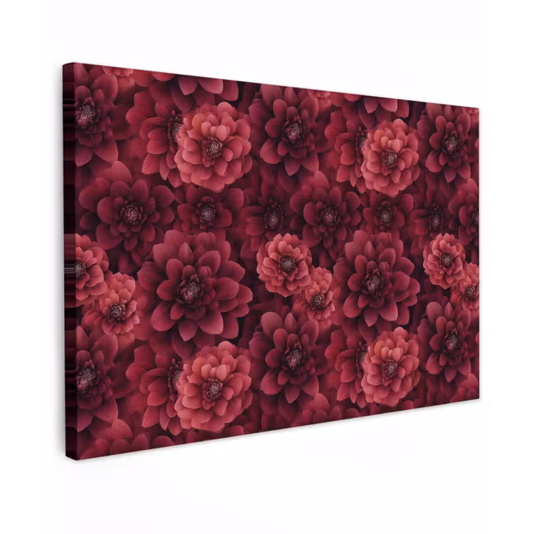 Dahlias - Bloemen - Rood canvas 2cm klein 34 -z3d