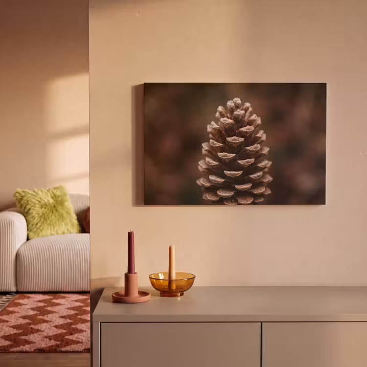Dennenappel - Bos - Herfst - Bruin - Sfeervol canvas 2cm klein -sfeer1
