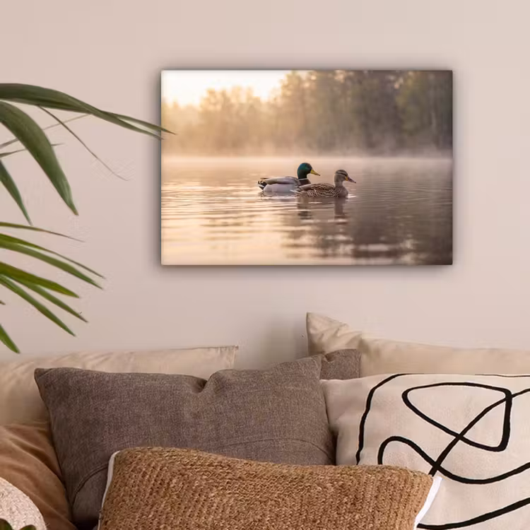 Eenden - Water - Mist - Natuur canvas 2cm klein -sfeer1