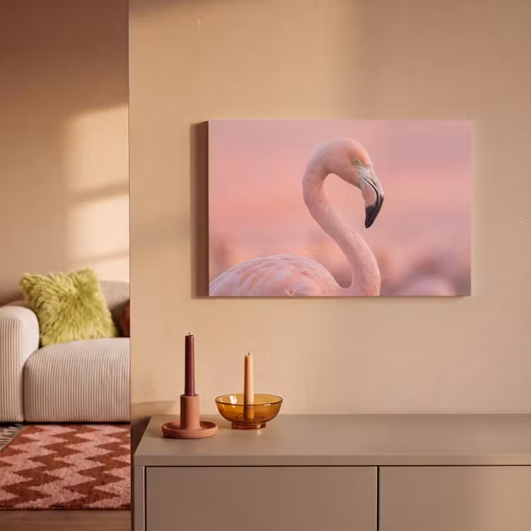 Flamingo - Portret - Roze canvas 2cm klein -sfeer1