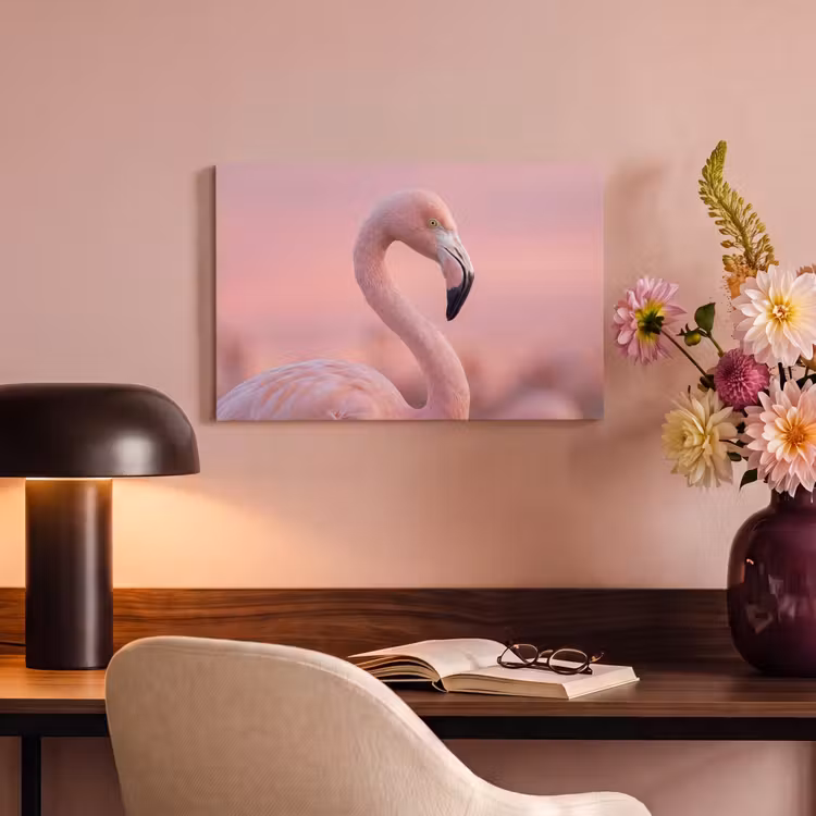 Flamingo - Portret - Roze canvas 2cm klein -sfeer4