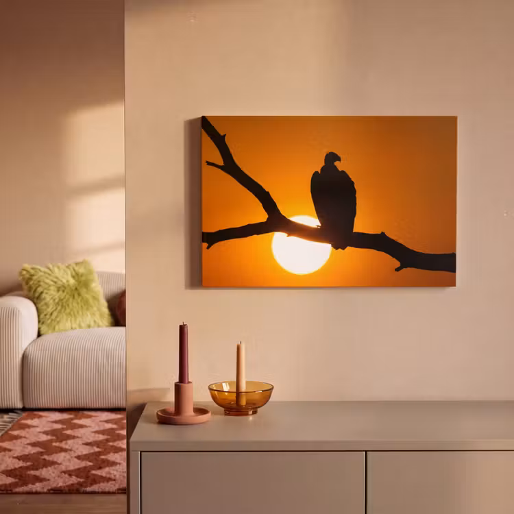 Gier - Tak - Zon - Oranje canvas 2cm klein -sfeer1