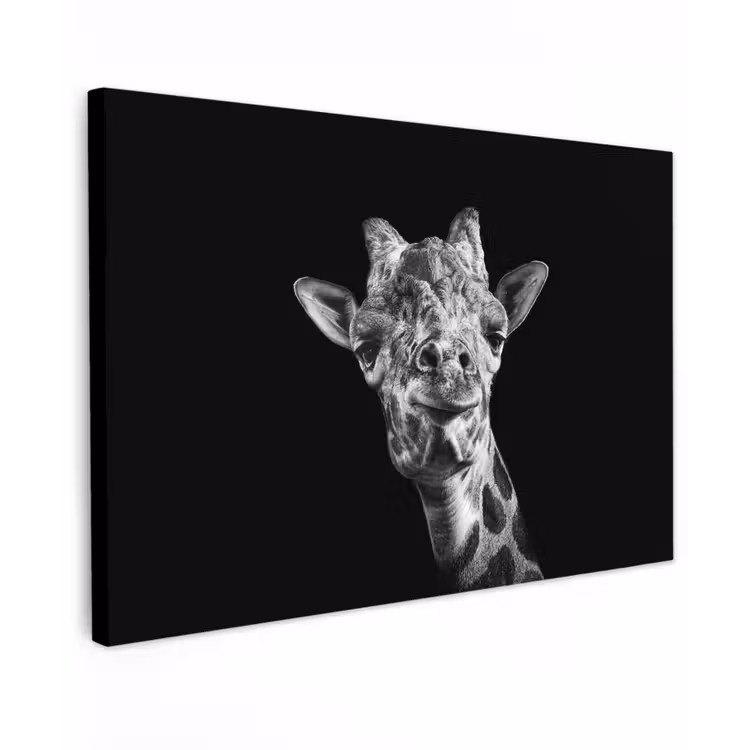 Giraffe - Dier - Zwart - Wit canvas 2cm klein -z3d