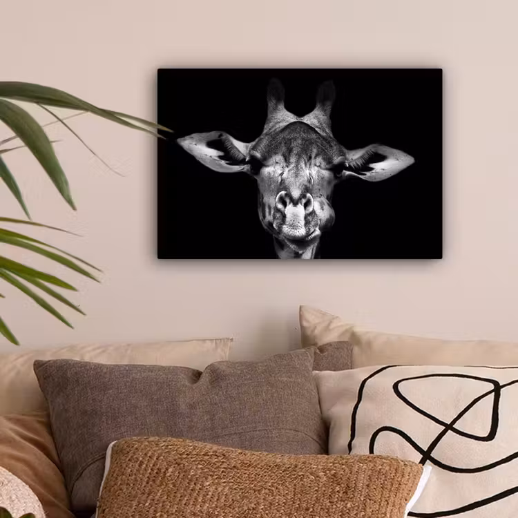 Giraffe - Portret - Dieren - Zwart - Wit canvas 2cm klein -sfeer1