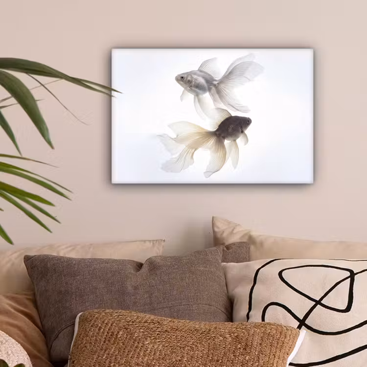Goudvissen - Modern - Wit canvas 2cm klein -sfeer1