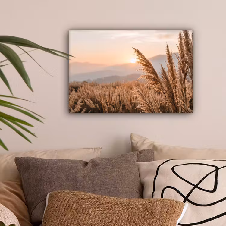 Gras - Veld - Zon - Natuur canvas 2cm klein -sfeer1