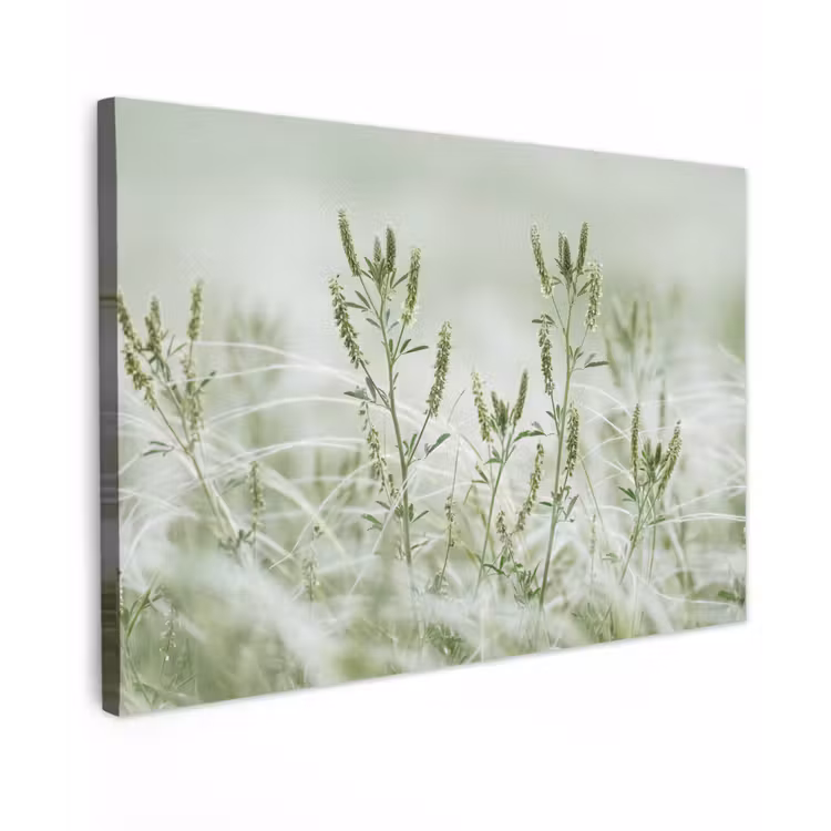 Grassen - Minimalistisch - Groen canvas 2cm klein -z3d