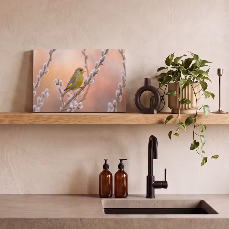 Groenling - Katjes - Lente - Natuur - Zacht canvas 2cm klein -sfeer3