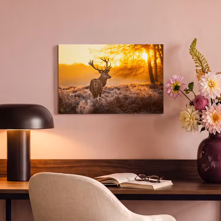 Hert - Dieren - Zonsondergang - Winter - Heide - Natuur canvas 2cm klein -sfeer4
