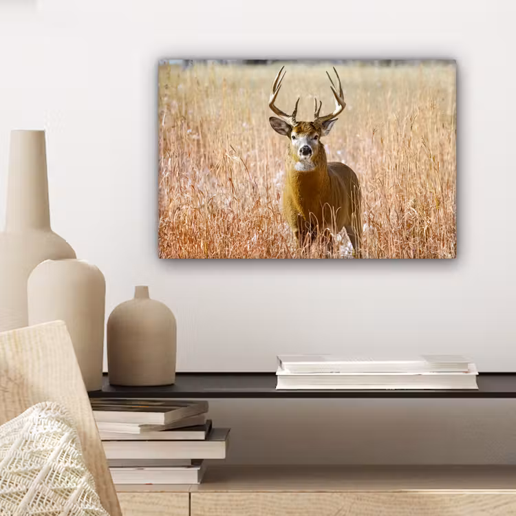 Hert - Gras - Herfst - Dieren - Natuur - Gewei canvas 2cm klein -sfeer6