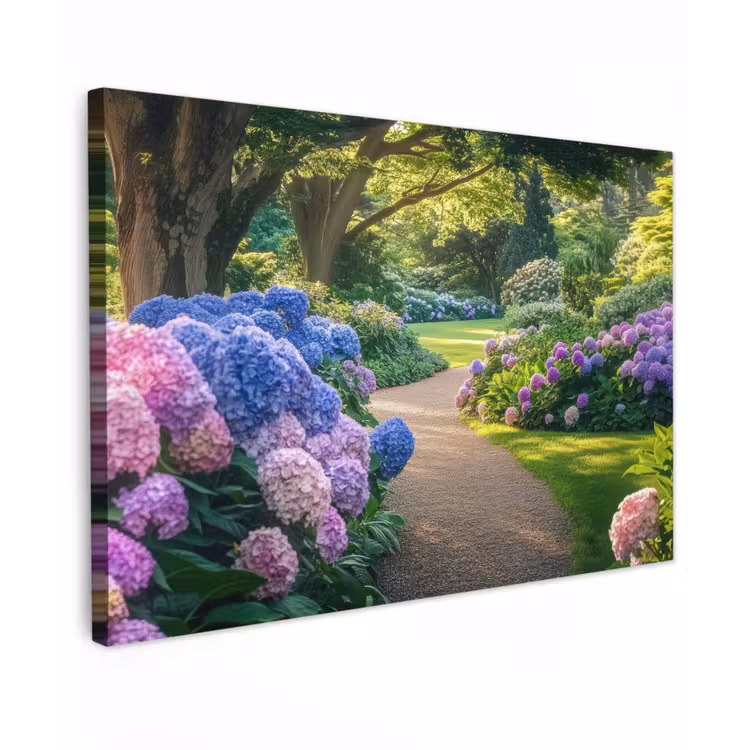 Hortensia- Park - Pad canvas 2cm klein -z3d