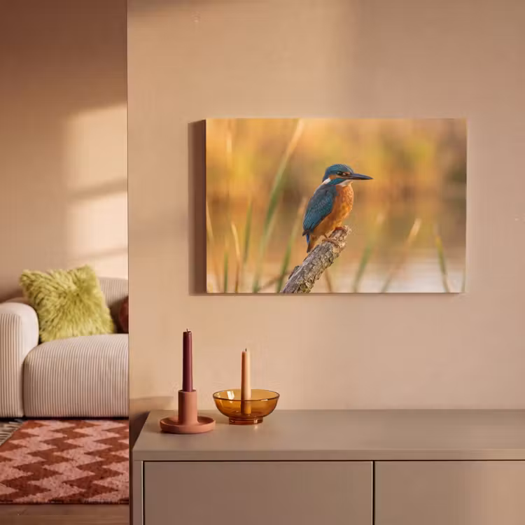 IJsvogel - Tak - Water - Kleurrijk - Levendig canvas 2cm klein -sfeer1