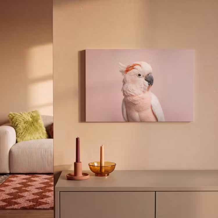 Kaketoe - Portret - Roze canvas 2cm klein -sfeer1