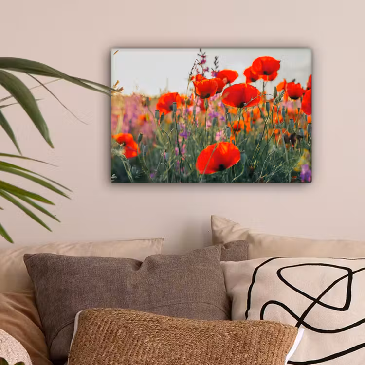 Klaproos - Bloemen - Rood - Paars - Weide canvas 2cm klein -sfeer1