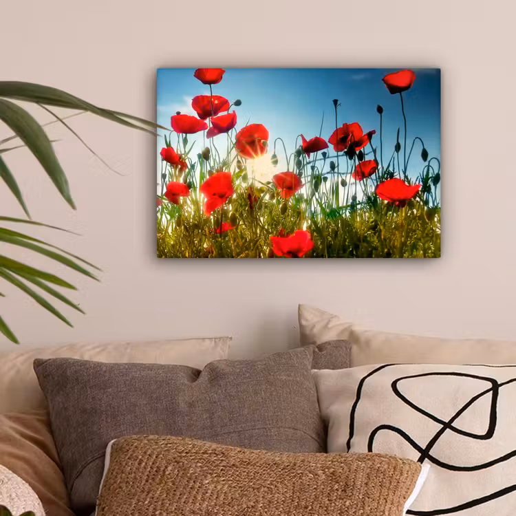 Klaprozen - Toscane - Zon - Rood - Blauw canvas 2cm klein -sfeer1