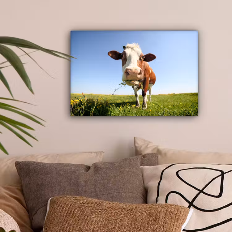Koe - Dieren - Bloemen - Gras canvas 2cm klein -sfeer1