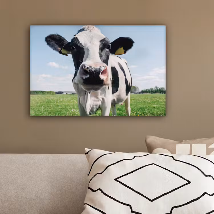 Koe - Weiland - Natuur - Dieren - Gras canvas 2cm klein -sfeer3