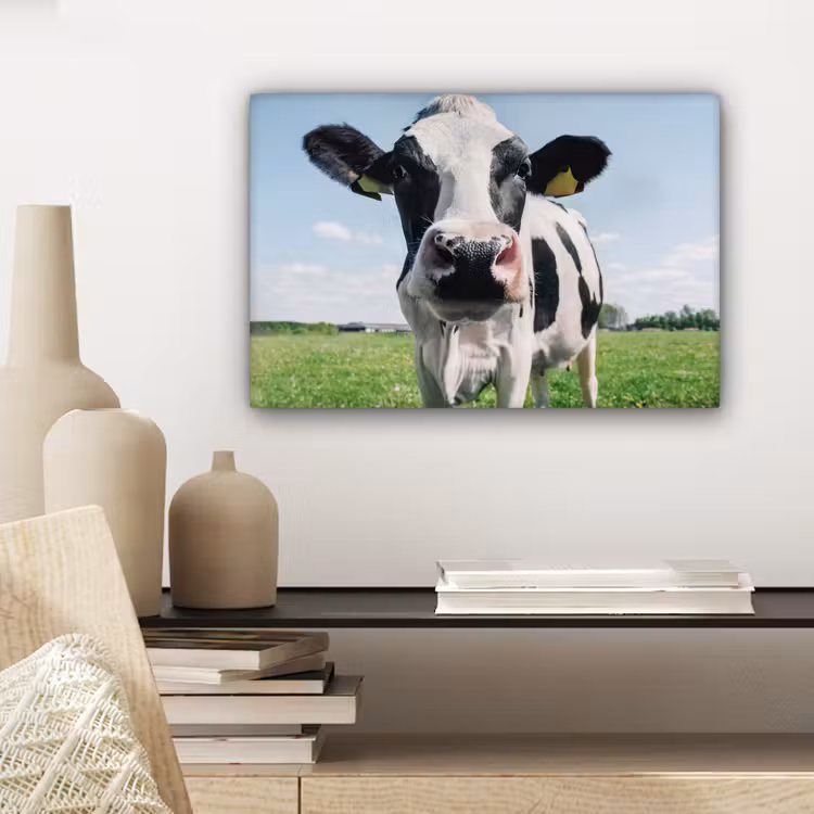Koe - Weiland - Natuur - Dieren - Gras canvas 2cm klein -sfeer6