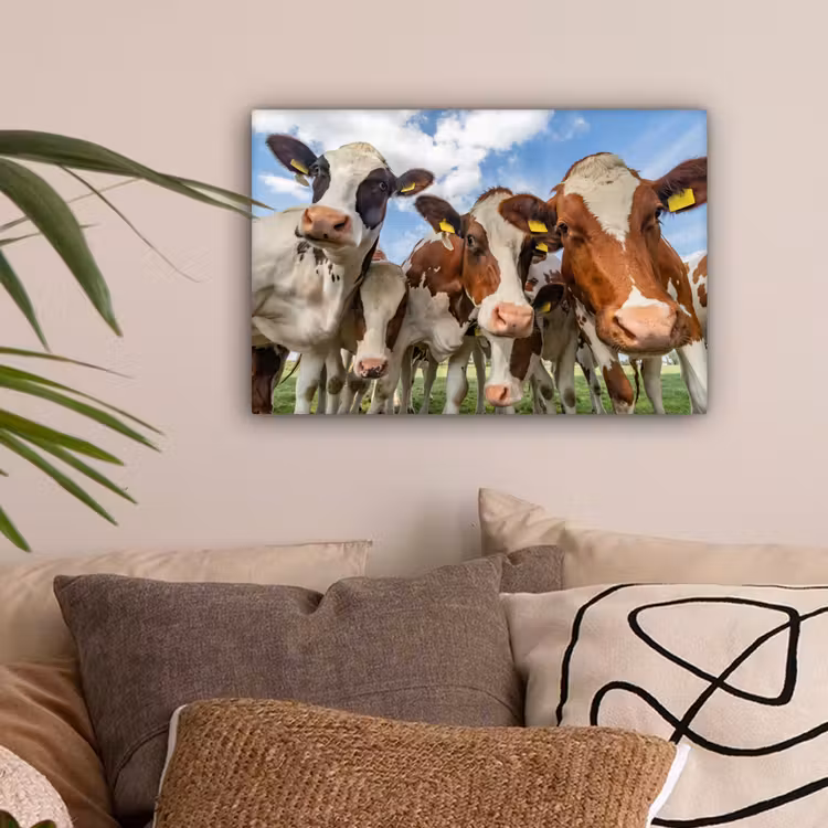 Koeien - Dieren - Weiland - Natuur canvas 2cm klein -sfeer1