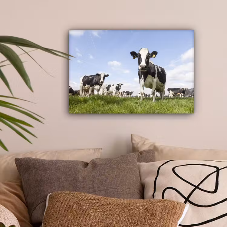 Koeien - Gras - Dieren - Zon - Boerderij canvas 2cm klein -sfeer1