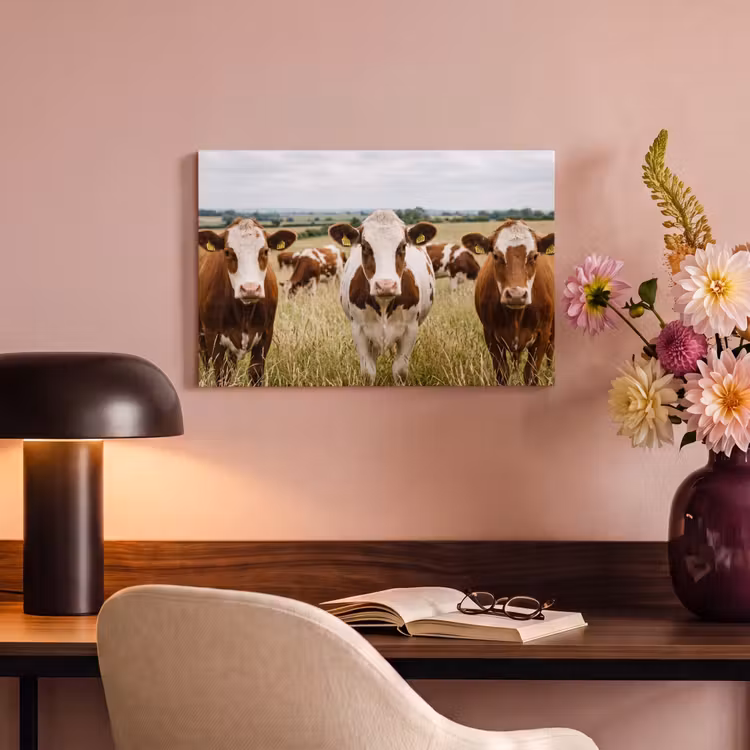 Koeien - Portret - Weide - Boerderij - Nieuwsgierig canvas 2cm klein -sfeer4