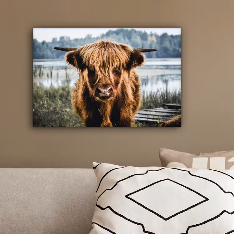 Koeien - Schotse hooglander - Bruin - Natuur canvas 2cm klein -sfeer3