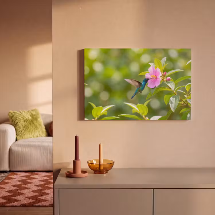 Kolibrie - Bloem - Natuur - Groen canvas 2cm klein -sfeer1