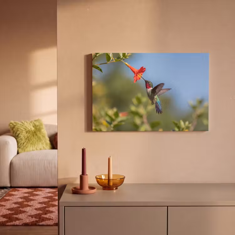 Kolibrie - Bloem - Natuur - Groen canvas 2cm klein -sfeer1