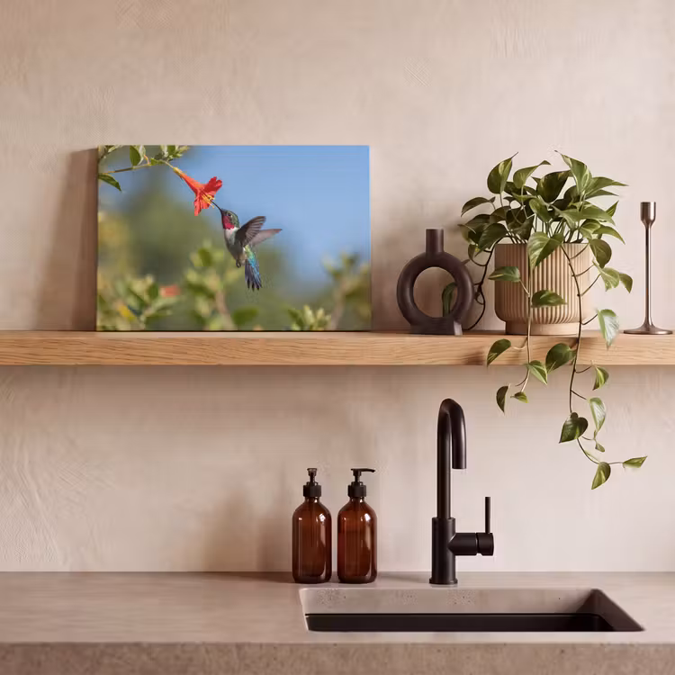 Kolibrie - Bloem - Natuur - Groen canvas 2cm klein -sfeer3