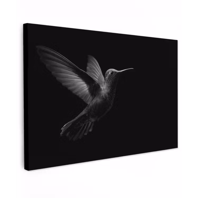 Kolibrie - Zwart - Dieren canvas 2cm klein -z3d