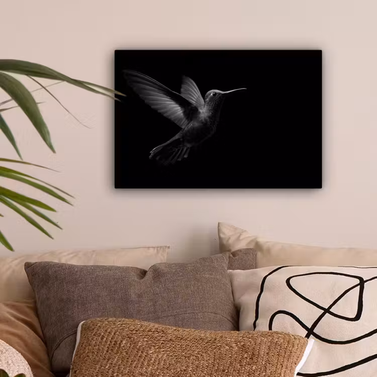 Kolibrie - Zwart - Dieren canvas 2cm klein -sfeer1