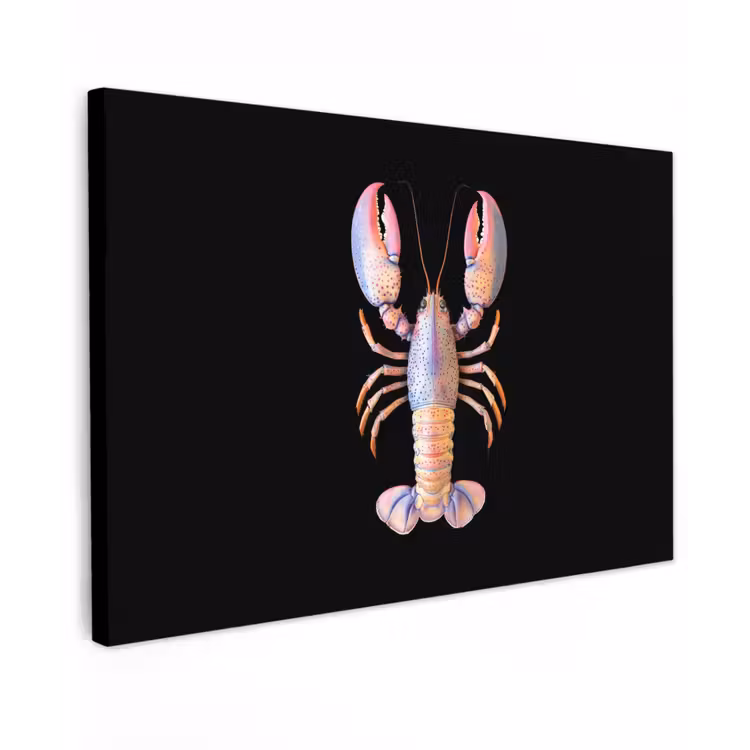 Kreeft - Roze - Zacht - Zwart canvas 2cm klein -z3d