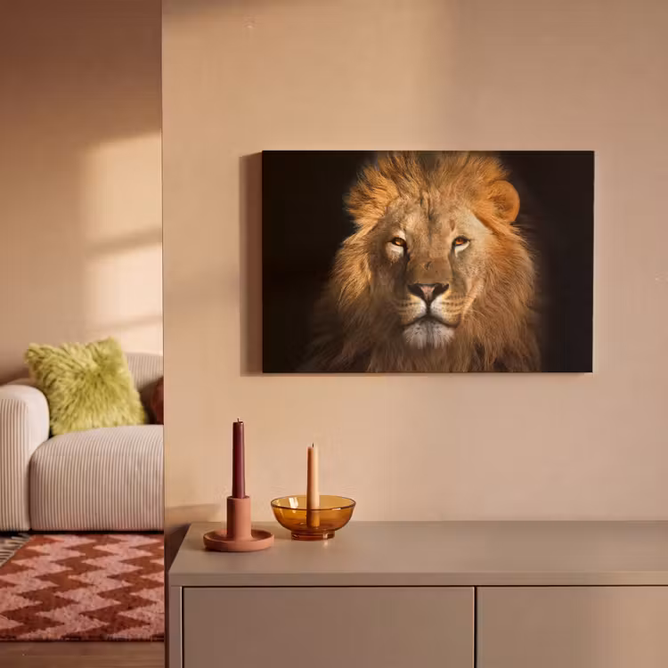 Leeuw - Dieren - Zwart - Licht - Bruin - Portret canvas 2cm klein -sfeer1