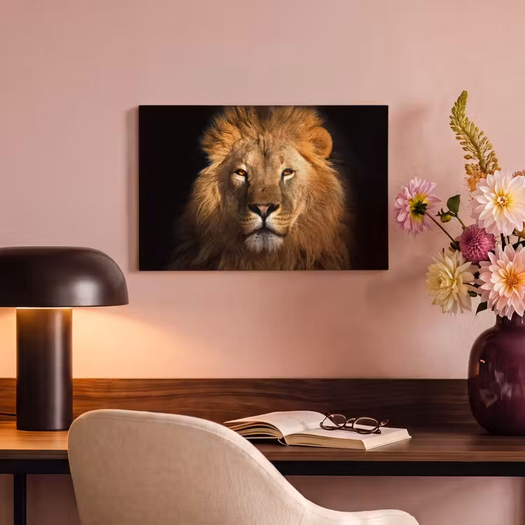 Leeuw - Dieren - Zwart - Licht - Bruin - Portret canvas 2cm klein -sfeer4