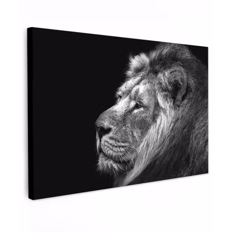 Leeuw tegen zwarte achtergrond in zwart-wit canvas 2cm klein -z3d