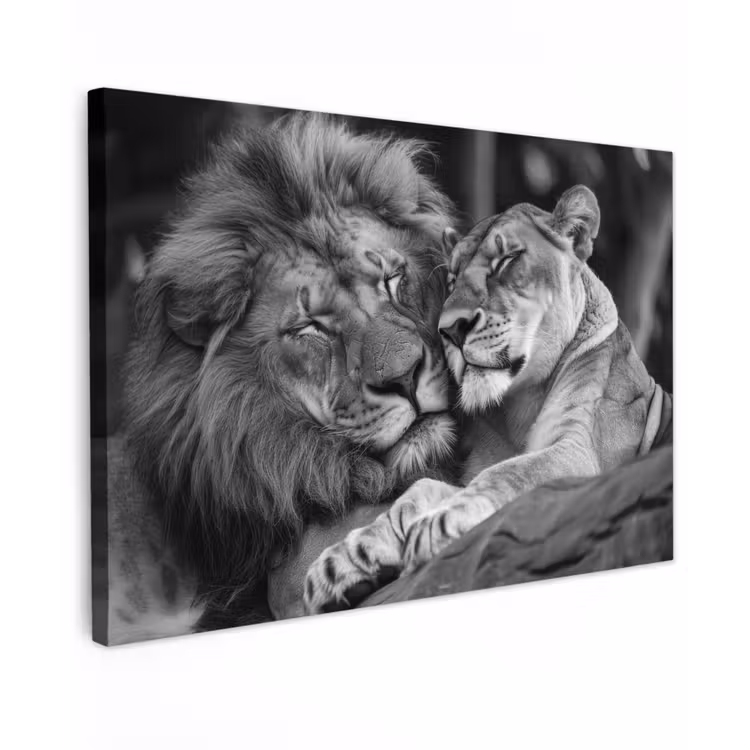 Leeuwen - Dieren - Zwart - Wit - Leeuw canvas 2cm klein -z3d