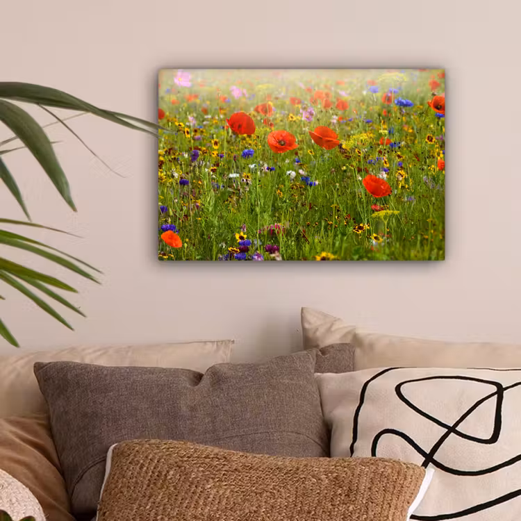 Lente - Bloemen - Rood - Klaproos - Gras - Groen canvas 2cm klein -sfeer1