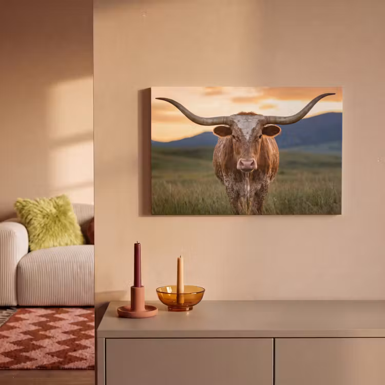 Longhorn - Landschap - Zonsondergang canvas 2cm klein -sfeer1