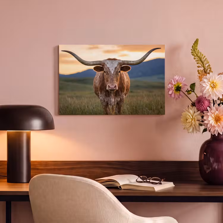 Longhorn - Landschap - Zonsondergang canvas 2cm klein -sfeer4