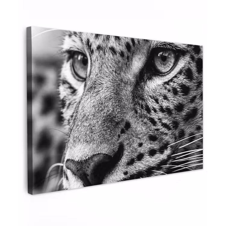 Luipaard - Zwart - Wit - Oog canvas 2cm klein -z3d