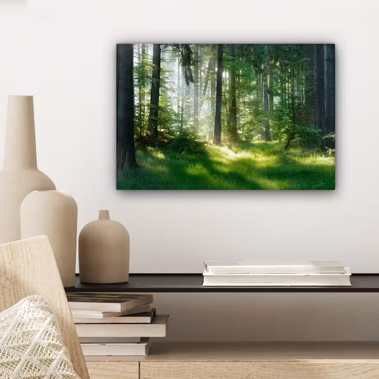 Natuur - Bomen - Bos - Groen - Zon - Gras - Planten canvas 2cm klein -sfeer6