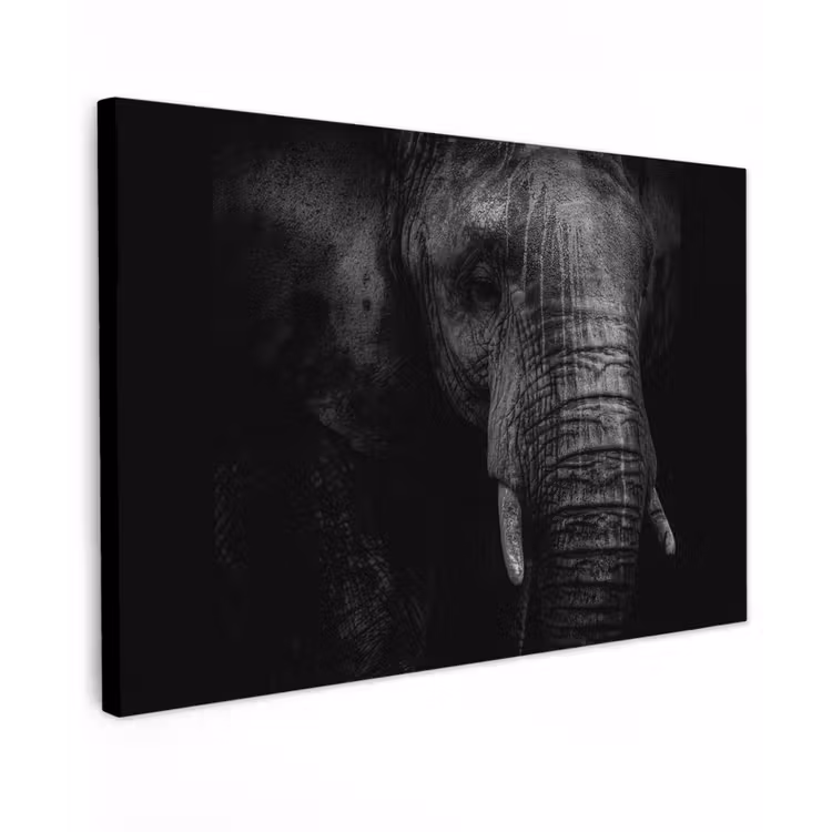 Olifant - Dier - Portret canvas 2cm klein -z3d