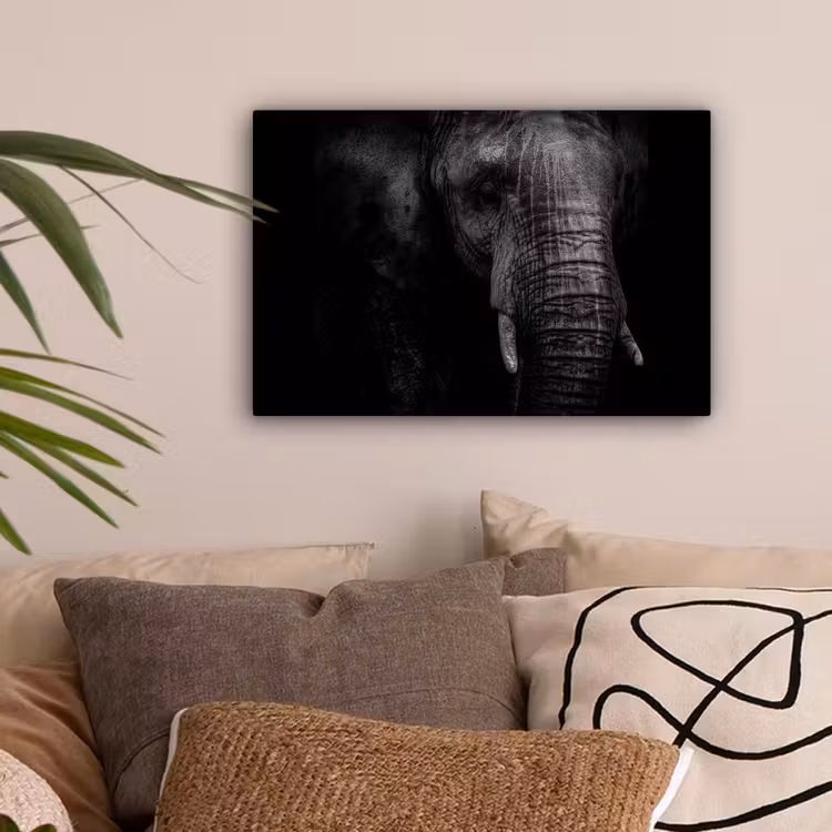 Olifant - Dier - Portret canvas 2cm klein -sfeer1