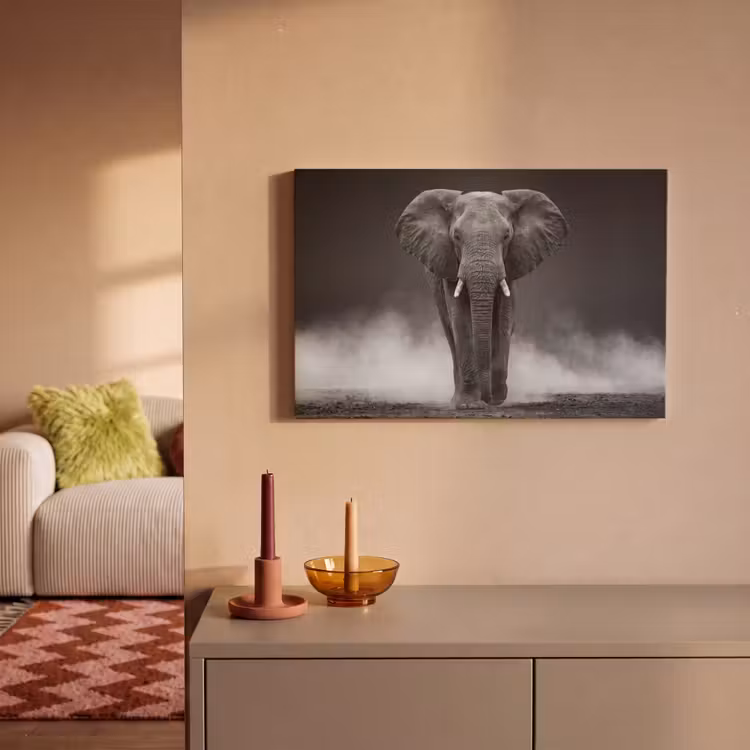 Olifant - Zwart - Wit - Rook canvas 2cm klein -sfeer1