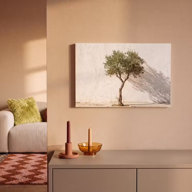Canvas schilderij - Olijfboom - muur - wit - Olijfboom - muur - wit canvas 2cm klein