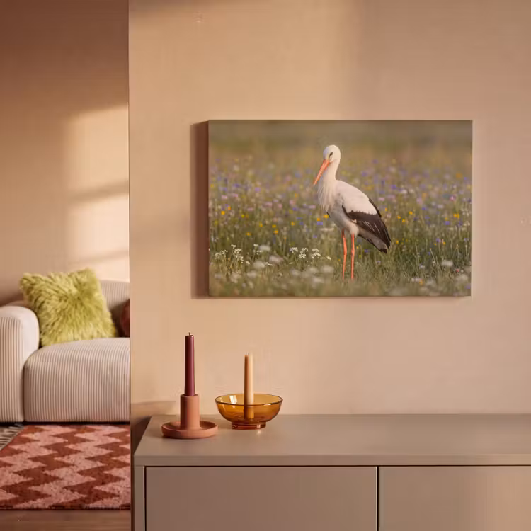 Ooienvaar - Bloemen - Weide - Kleurrijk canvas 2cm klein -sfeer1