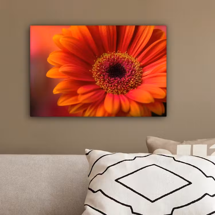 Oranje - Gerbera - Intens canvas 2cm klein -sfeer3