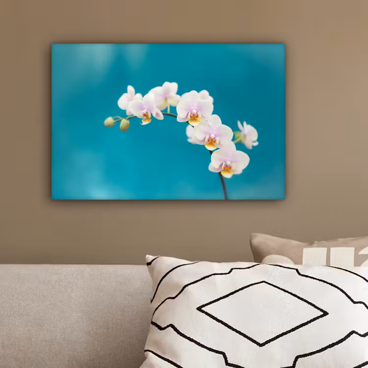 Orchidee - Bloemen - Plant - Wit - Paars canvas 2cm klein -sfeer3