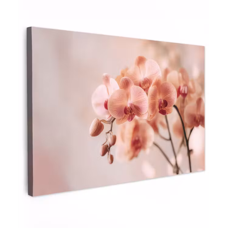 Orchidee - Bloemen - Roze - Bloemblaadjes canvas 2cm klein -z3d